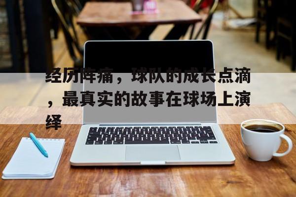 包含经历阵痛,球队的成长点滴,最真实的故事在球场上演绎的词条